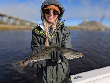 Jacksonville Report Photo 2