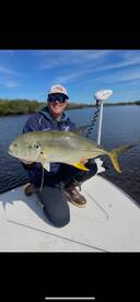 Beautiful weather for the end of January