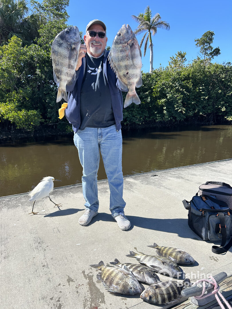 Punta Gorda Report Photo 0