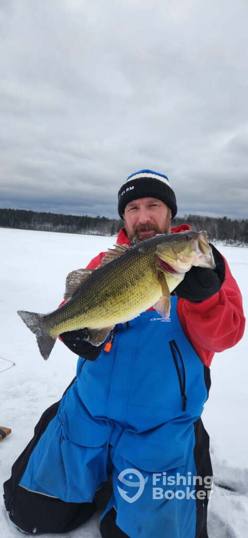 Rhinelander Report Photo 0