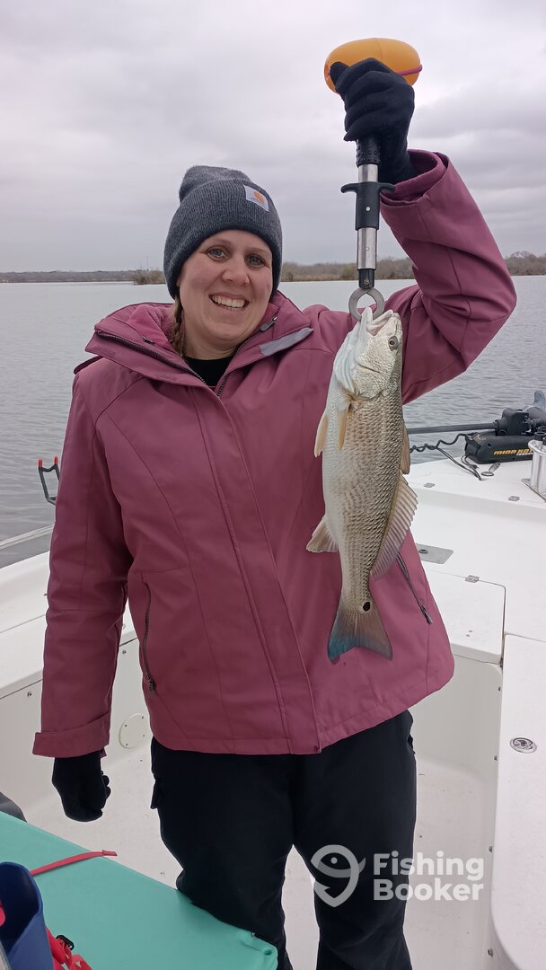 San Antonio Report Photo 0