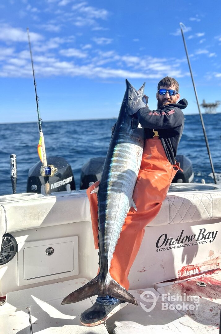 Venice Report Photo 0