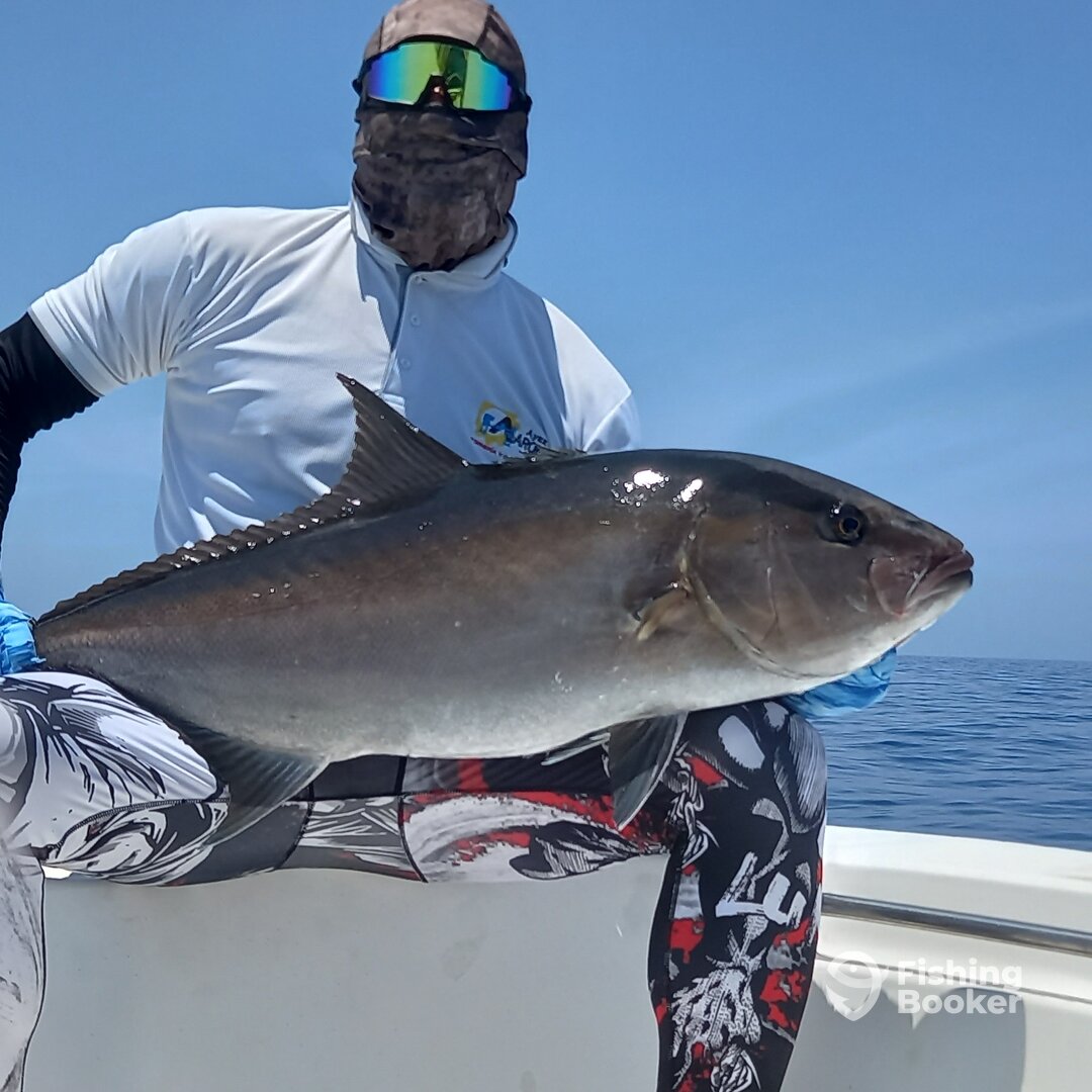 David Report Photo 0