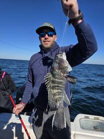 St. Simons Island Report Photo 1