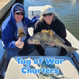 Tug Of War!!! Tug on it!!!