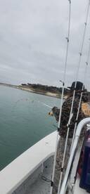 Canyon Lake Report Photo 2