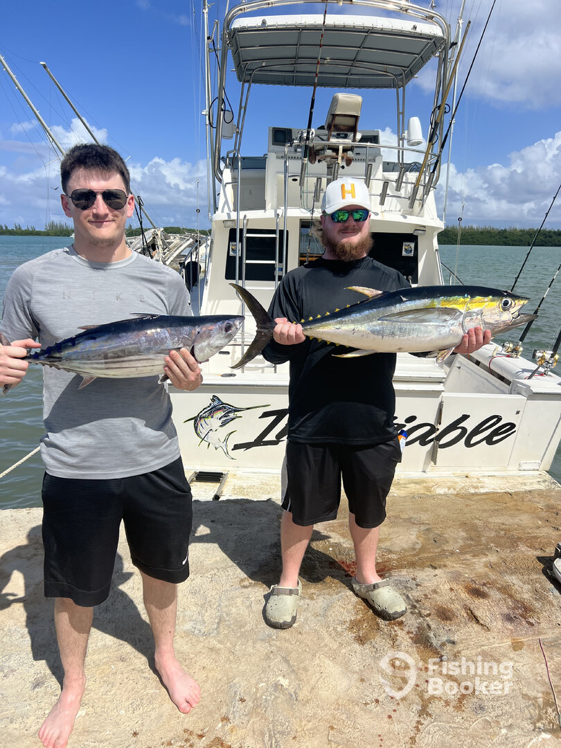 Falmouth Report Photo 0