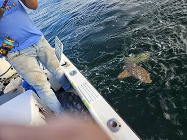 New Smyrna Beach Report Photo 2