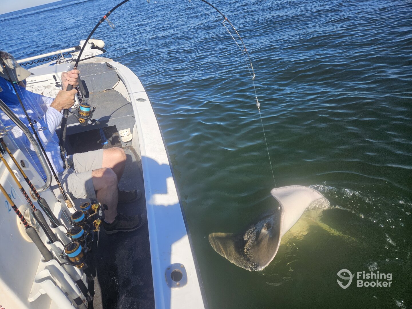 New Smyrna Beach Report Photo 0