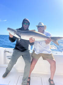 Nice Cobia in the mix this morning!!