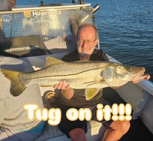 Tug Of War!!! Tug on it!!!