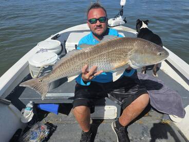 Tug Of War!!! Tug on it!!!