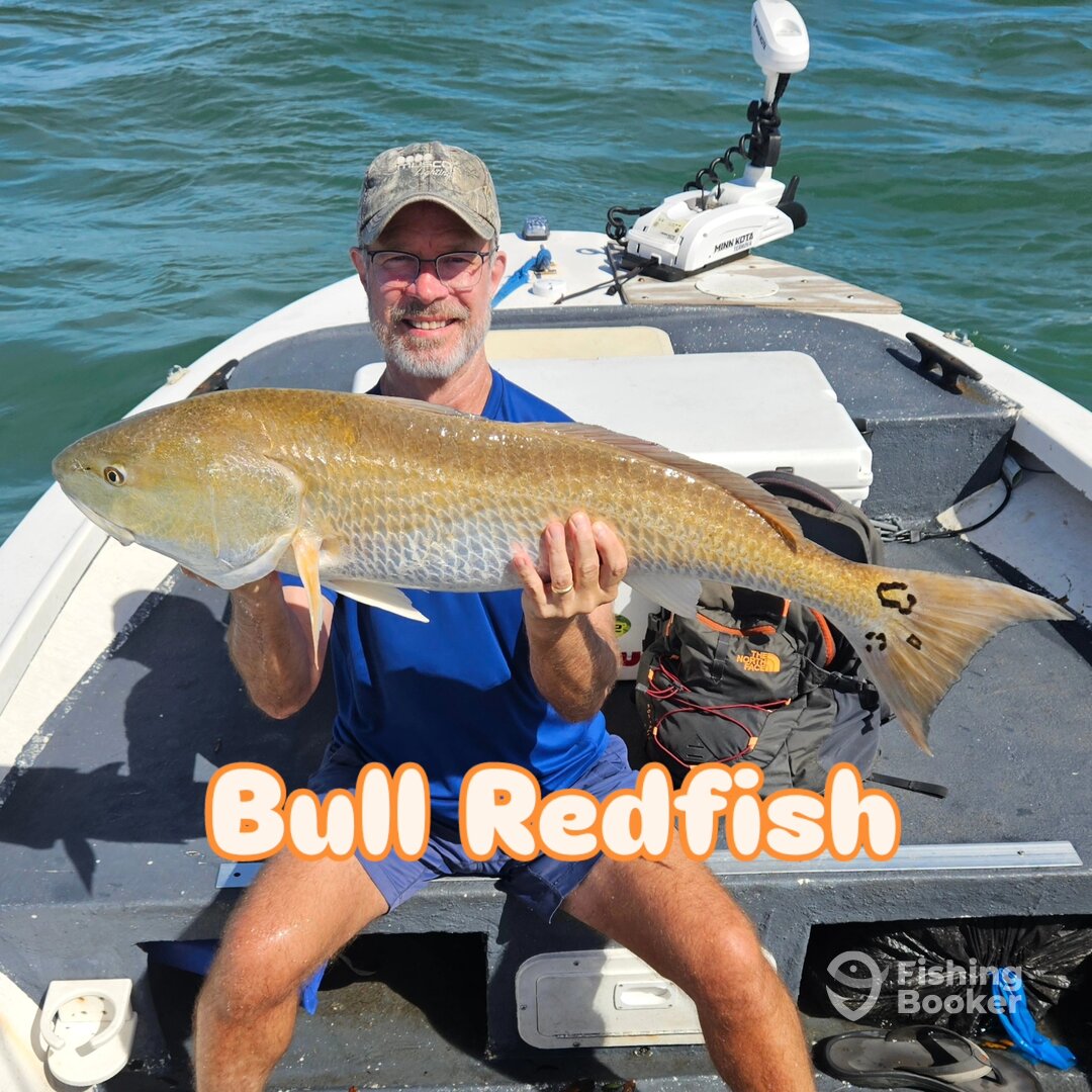 New Smyrna Beach Report Photo 0