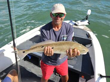 New Smyrna Beach Report Photo 2