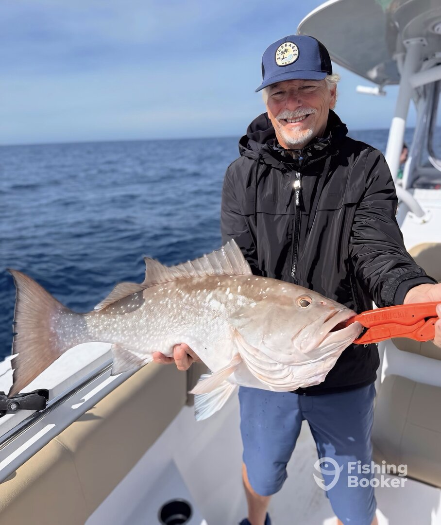 Naples Fl fishing offshore (deep sea) Grouper