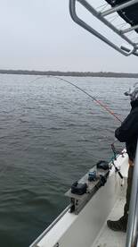 Morning trip on Calaveras Lake 