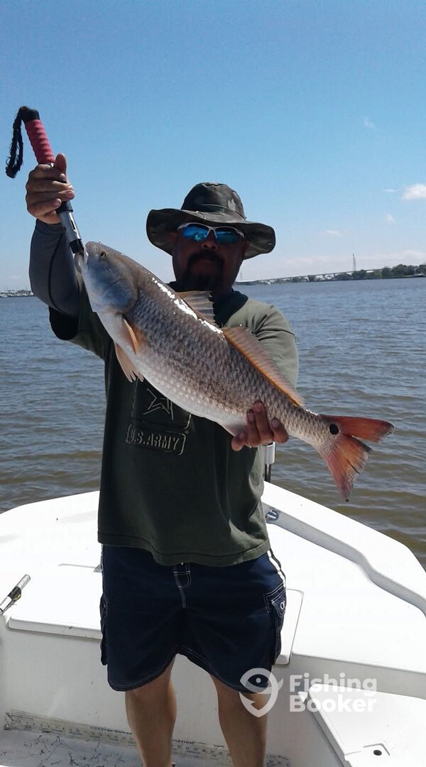 Houston Report Photo 0