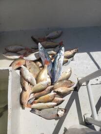 Great day of fishing with Daniel and his