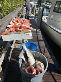 Full day grouper and snapper fishing 