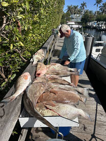 Naples Report Photo 1