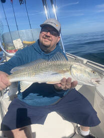 Great action this week