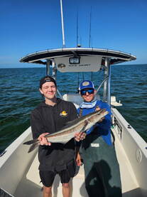 Released a Cobia and Brought Home Dinner
