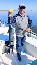 San Antonio Report Photo 1