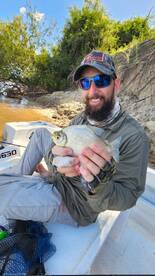 Esquina Report Photo 4