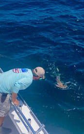 Wont be long now! First trips are in Apr