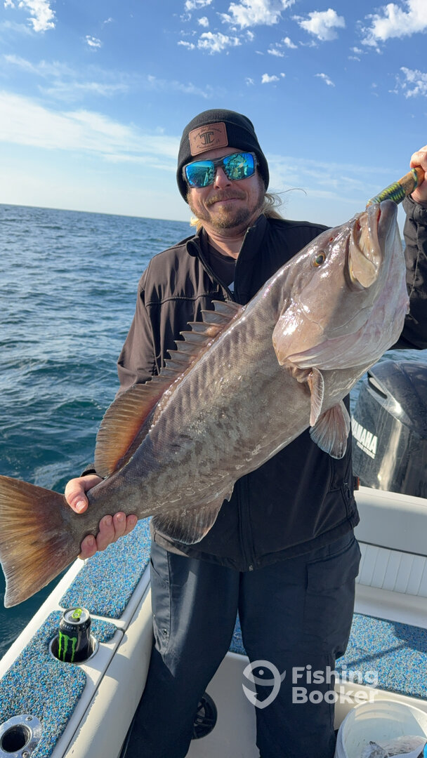 Shalimar Report Photo 0