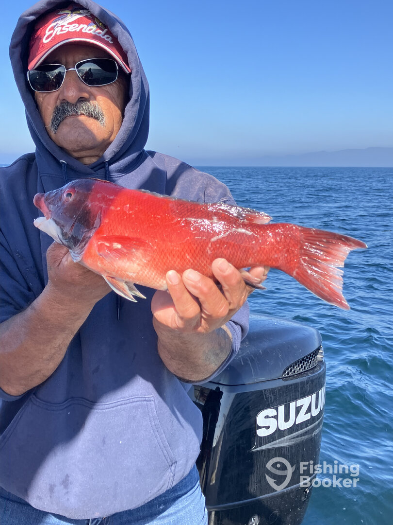 Ensenada Report Photo 0