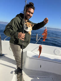 Ensenada Report Photo 1