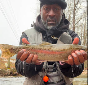 FlyFishing catching Trout
