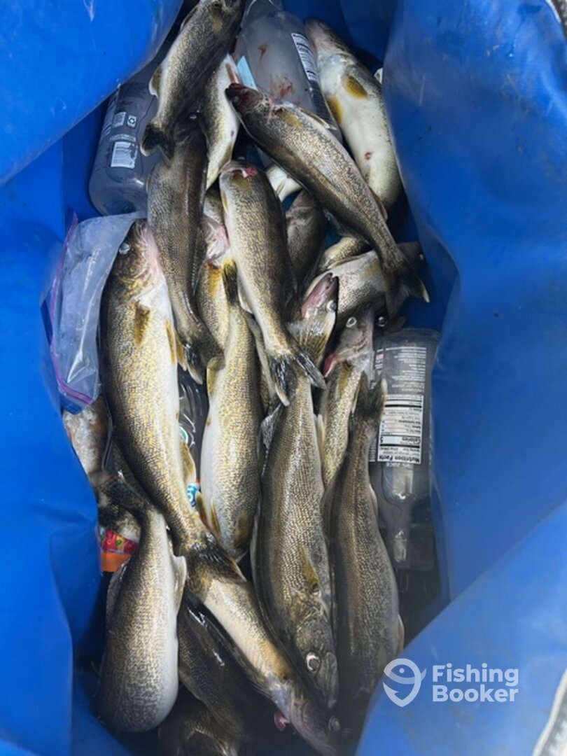 Richland Report Photo 0