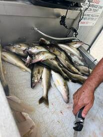 Richland Report Photo 1