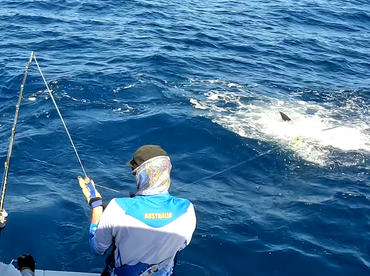 Sydney Report Photo 2