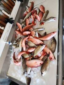 Indiana folk's got it done!!!