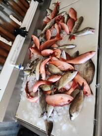 Panama City Beach Report Photo 1