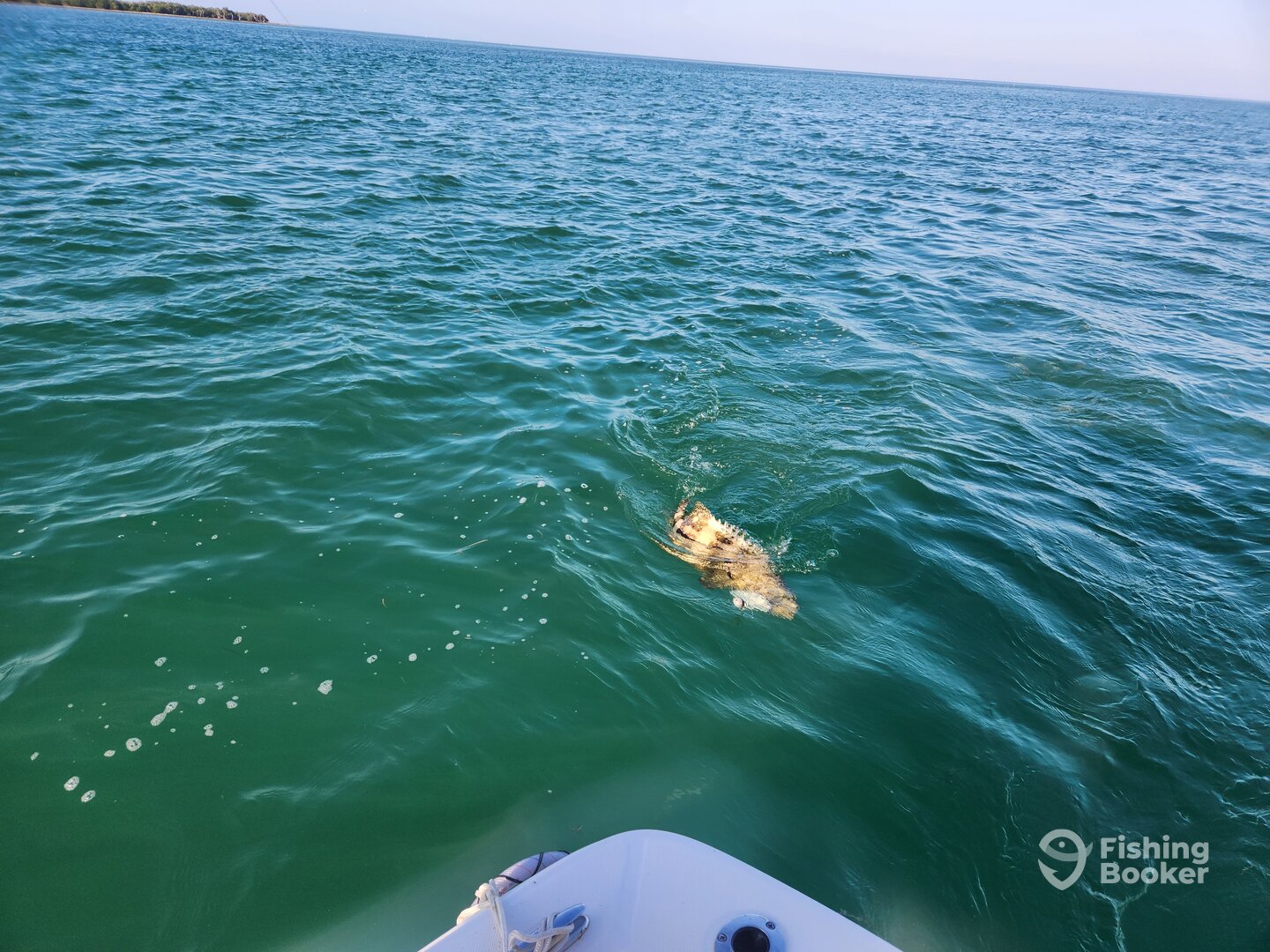 Summerland Key Report Photo 0