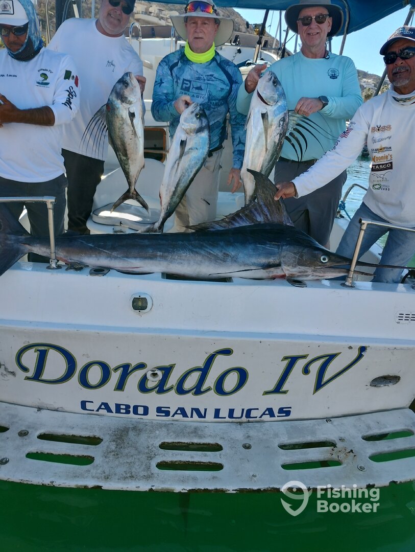 Cabo San Lucas Report Photo 0