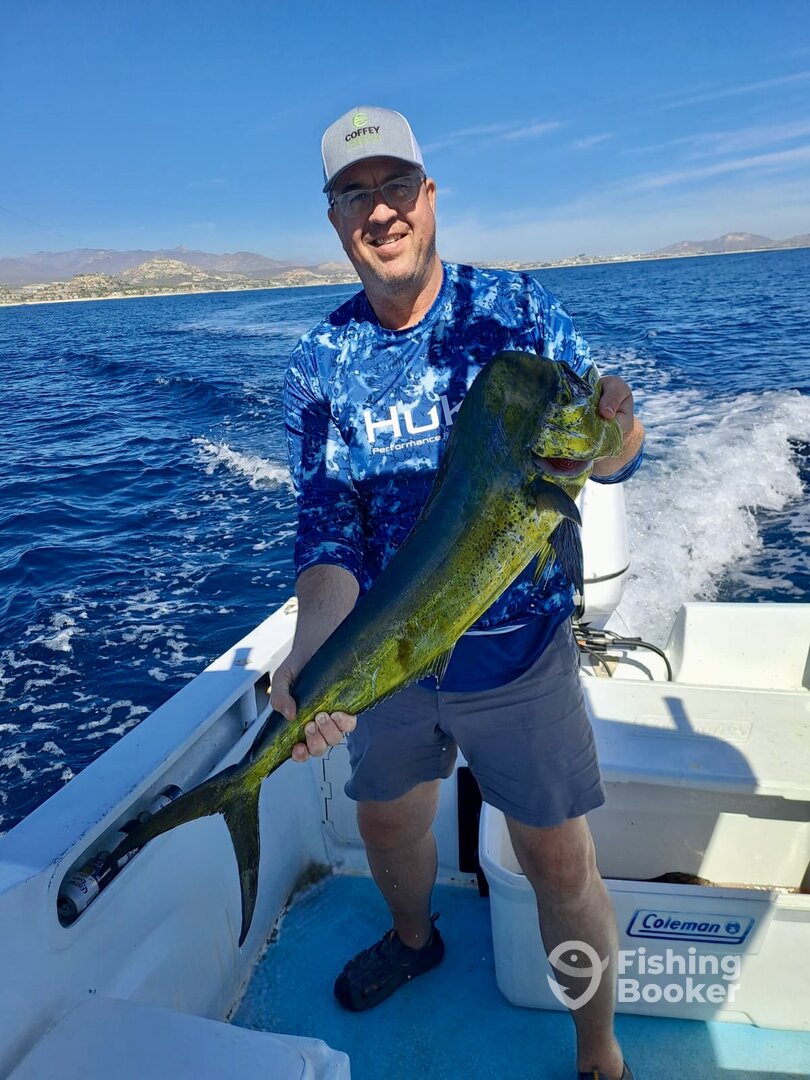 San Jose del Cabo Report Photo 0