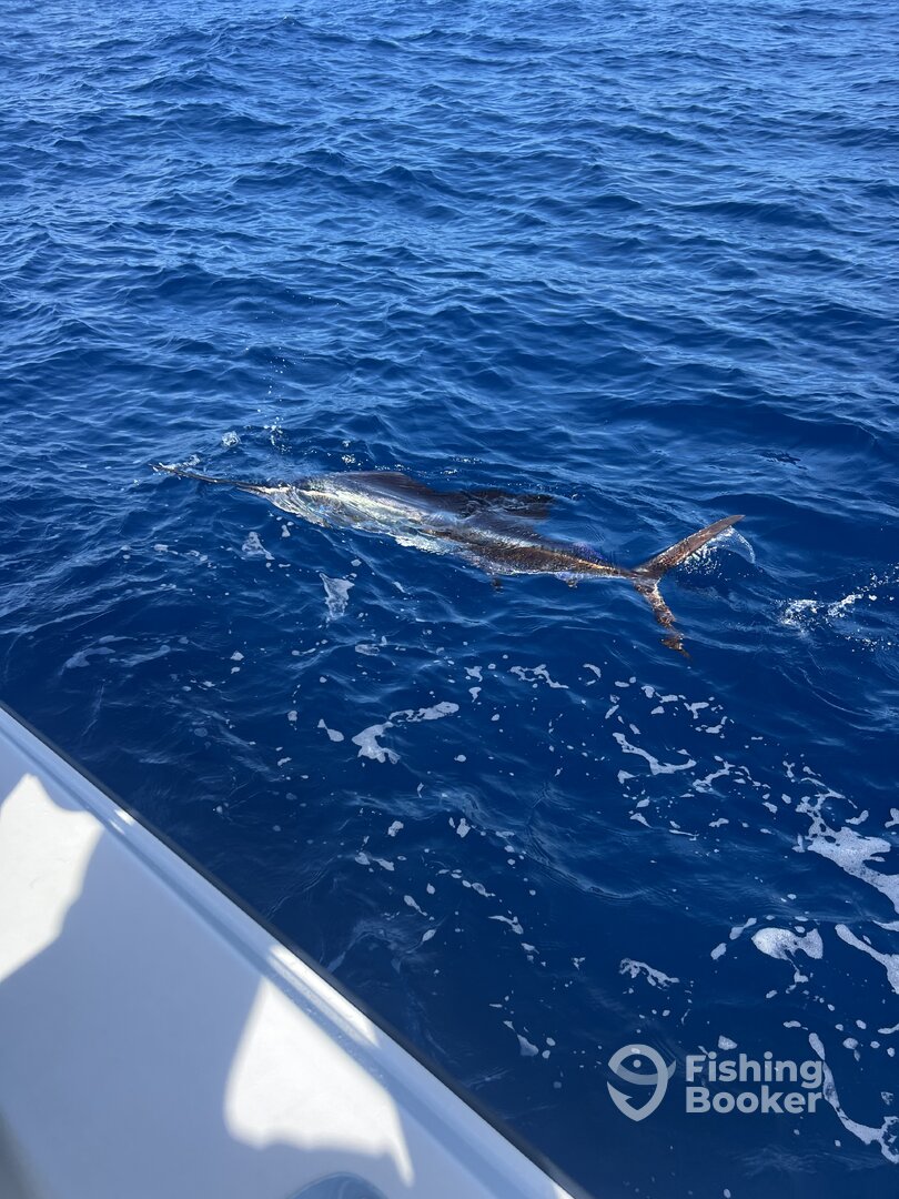 Marathon Report Photo 0