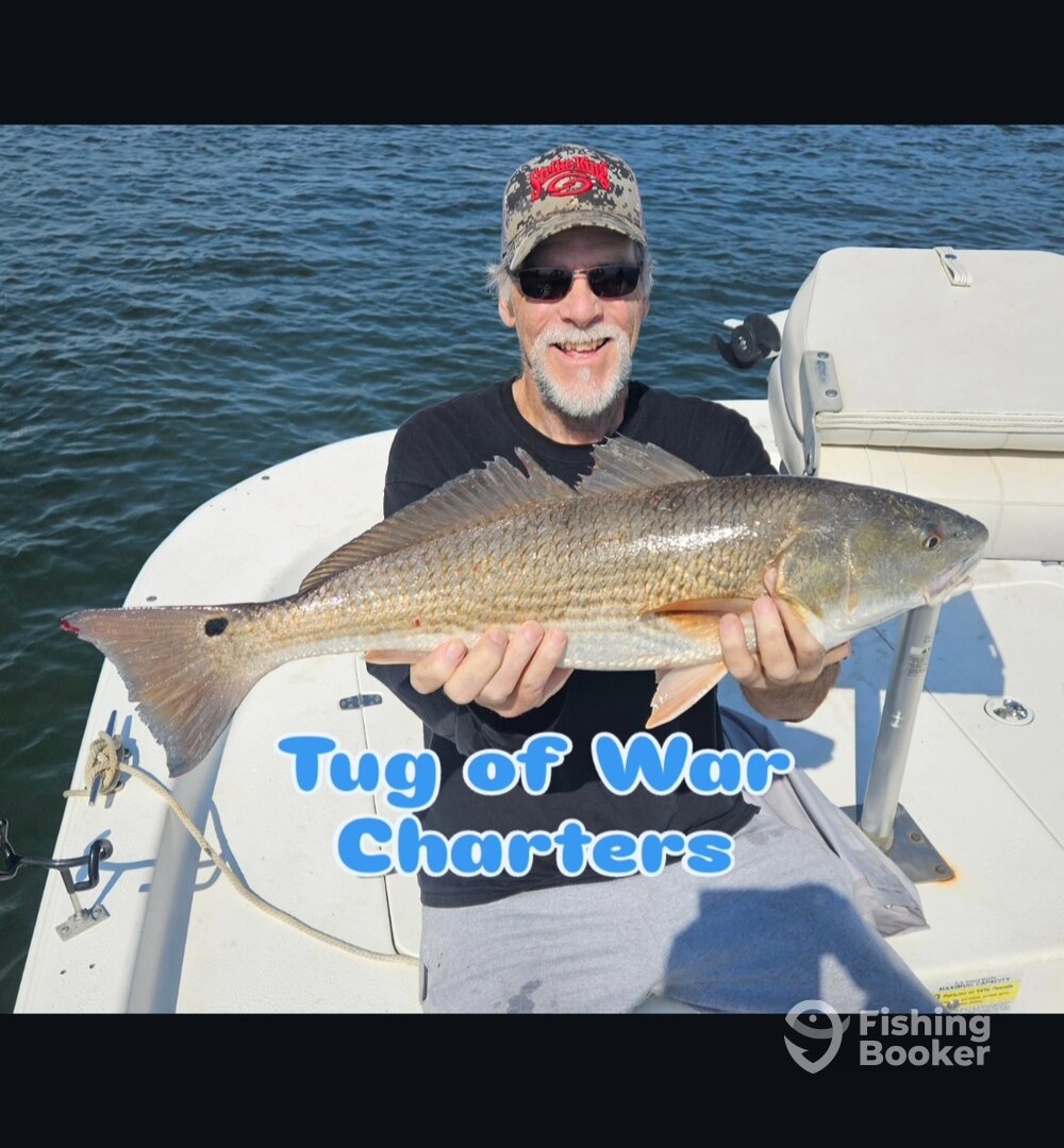 New Smyrna Beach Report Photo 0