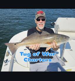 Tug Of War!!! Tug on it!!!