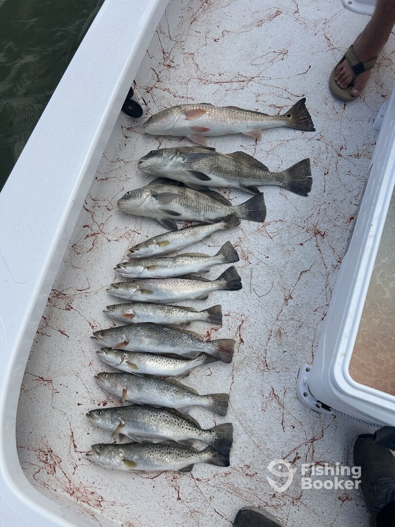 South Padre Island Report Photo 0