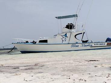 Early birds catches the warmth