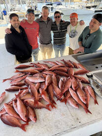 Pensacola Report Photo 2