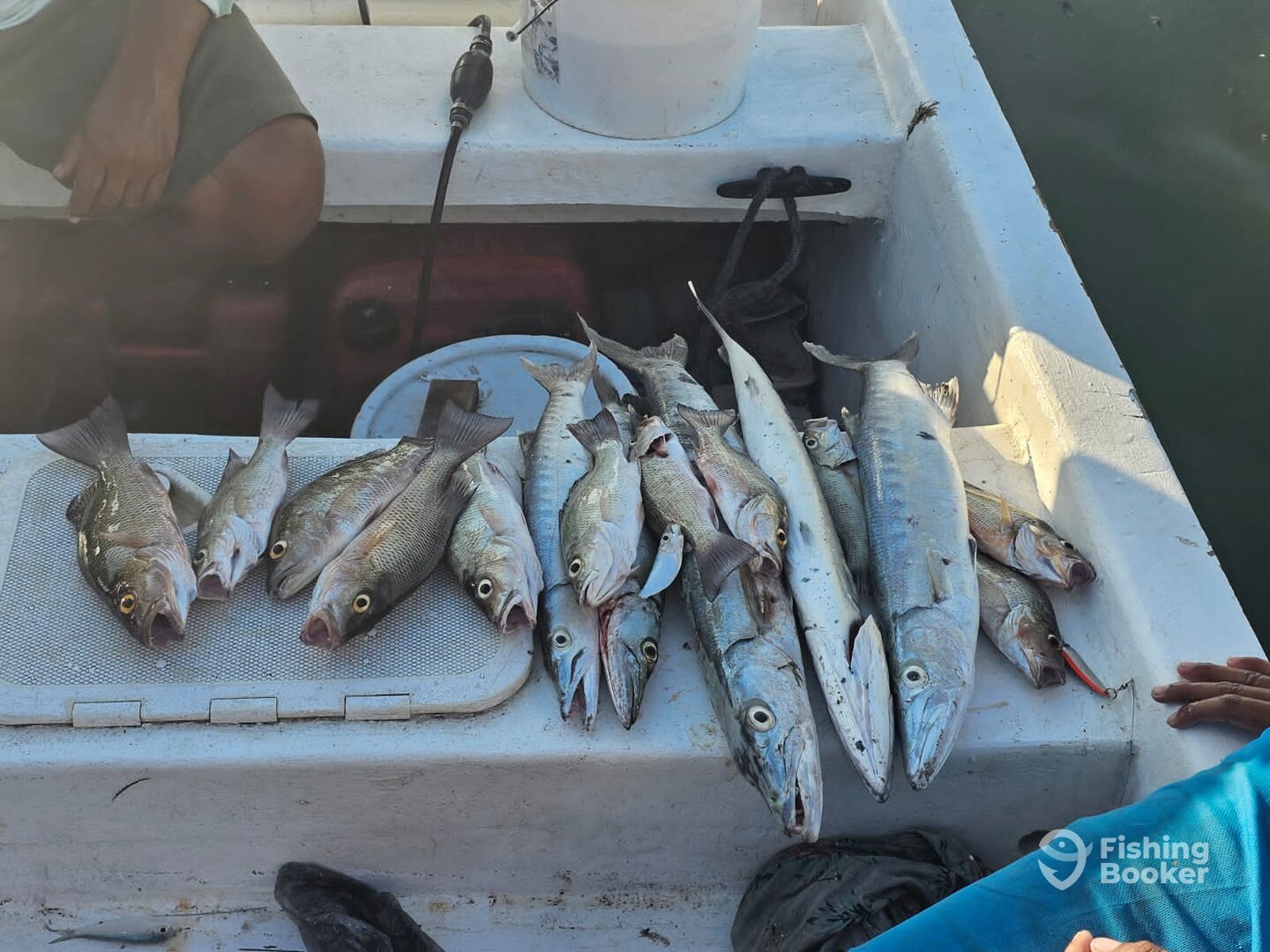 San Pedro Report Photo 0