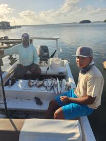 San Pedro Report Photo 1