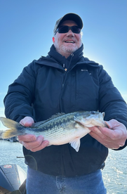 Branson Report Photo 1